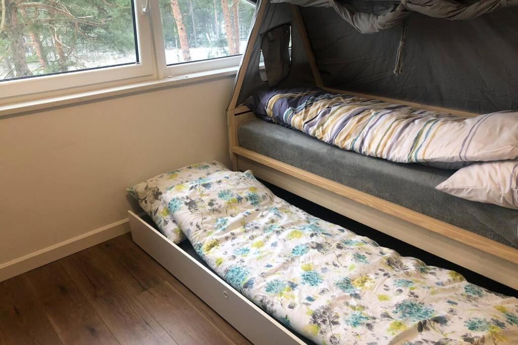 דירות אוגוסטוב Dwupoziomowy Apartament Nad Jeziorem W Lesie מראה חיצוני תמונה